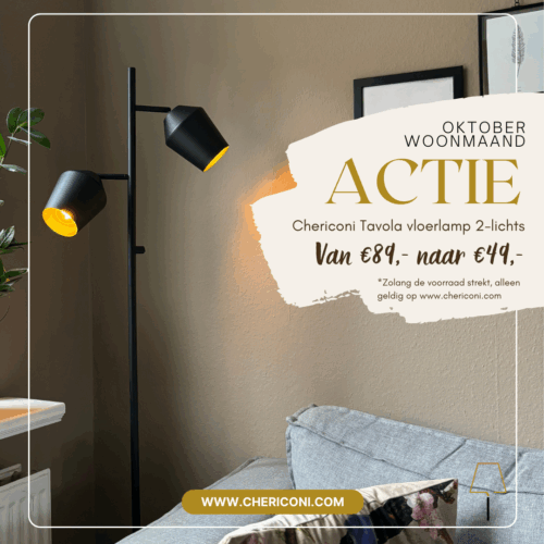 Goedkope vloerlamp bij Chericoni. Tweelichts vloerlamp in het zwart.