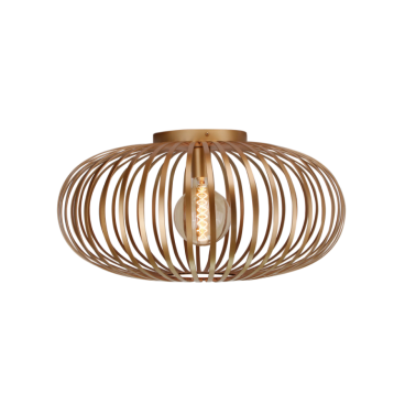 Deze moderne plafondlamp in goud heeft een verfijnd ontwerp. Perfect voor een luxe uitstraling in jouw interieur.
